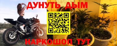 сатива Можга