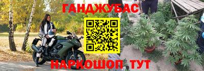 сатива Можга