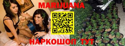 сатива Можга