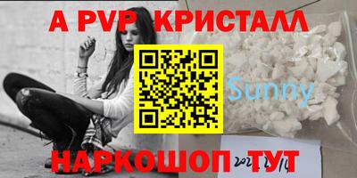 сатива Можга