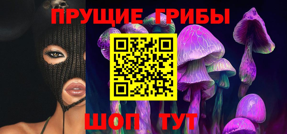 Тавда  Псилоцибиновые грибы мухоморы  купить наркоту  Вход с VPN  Псилоцибиновые грибы MAGIC MUSHROOMS 